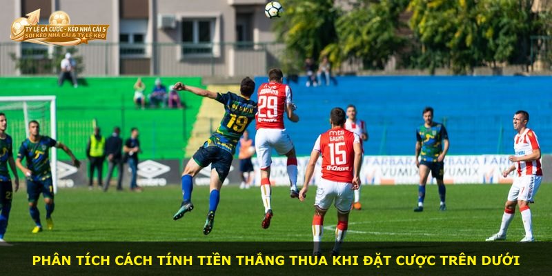 Phân tích cách tính tiền thắng thua khi đặt cược trên dưới