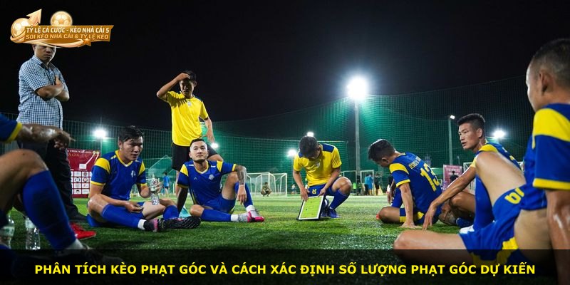 Phân tích kèo phạt góc và cách xác định số lượng phạt góc dự kiến