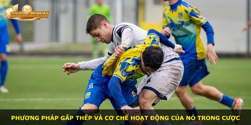 Phương pháp Gấp Thếp và cơ chế hoạt động của nó trong cược
