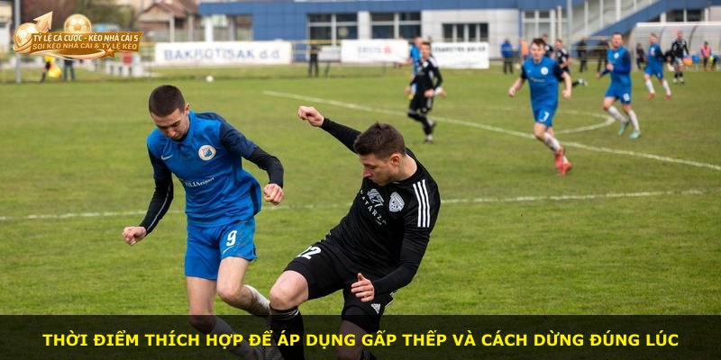 Thời điểm thích hợp để áp dụng Gấp Thếp và cách dừng đúng lúc