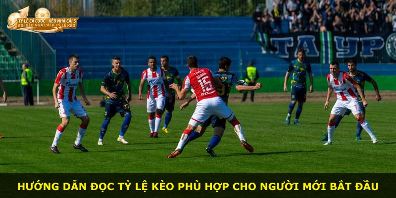 Hướng dẫn đọc tỷ lệ kèo phù hợp cho người mới bắt đầu