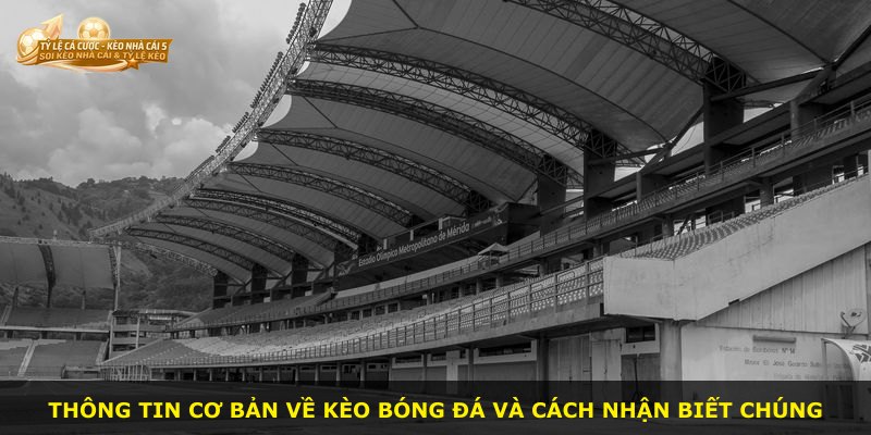 Thông tin cơ bản về kèo bóng đá và cách nhận biết chúng