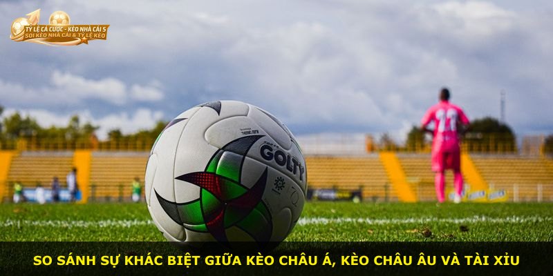 So sánh sự khác biệt giữa Kèo Châu Á, Kèo Châu Âu và Tài Xỉu