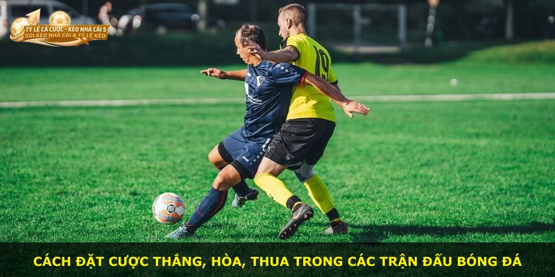 Cách đặt cược thắng, hòa, thua trong các trận đấu bóng đá