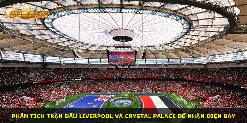 Phân tích trận đấu Liverpool và Crystal Palace để nhận diện bẫy
