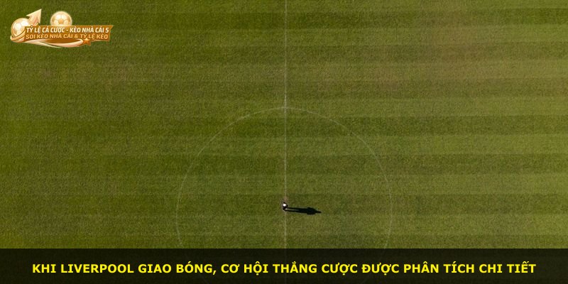Khi Liverpool giao bóng, cơ hội thắng cược được phân tích chi tiết