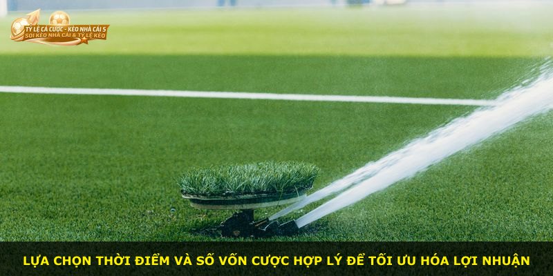 Lựa chọn thời điểm và số vốn cược hợp lý để tối ưu hóa lợi nhuận