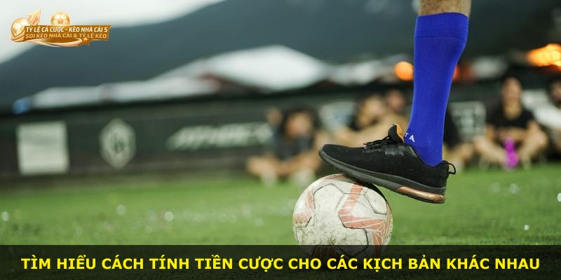 Tìm hiểu cách tính tiền cược cho các kịch bản khác nhau
