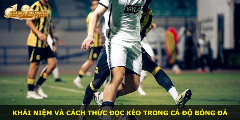 Khái niệm và cách thức đọc kèo trong cá độ bóng đá