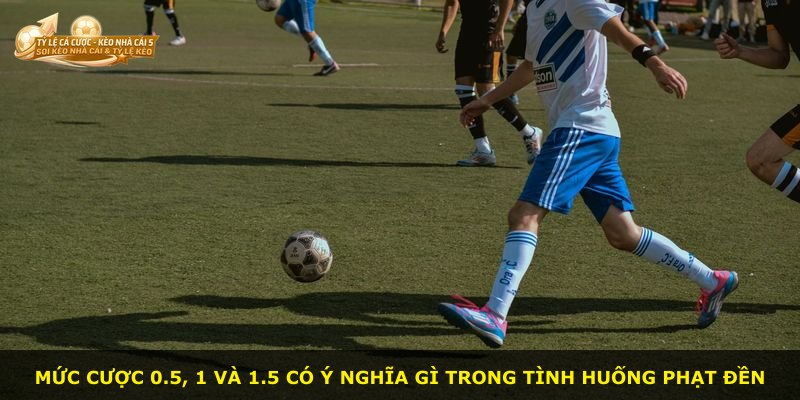 Mức cược 0.5, 1 và 1.5 có ý nghĩa gì trong tình huống phạt đền
