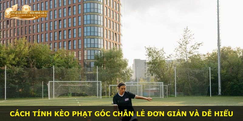 Cách tính kèo phạt góc chẵn lẻ đơn giản và dễ hiểu