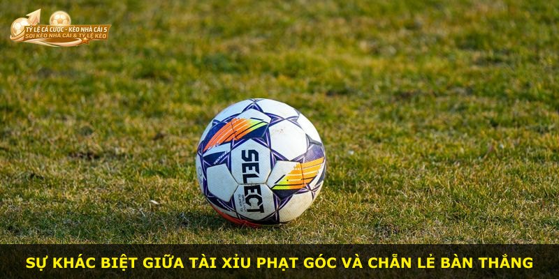 Sự khác biệt giữa tài xỉu phạt góc và chẵn lẻ bàn thắng