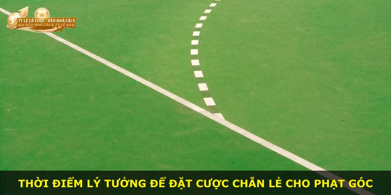 Thời điểm lý tưởng để đặt cược chẵn lẻ cho phạt góc