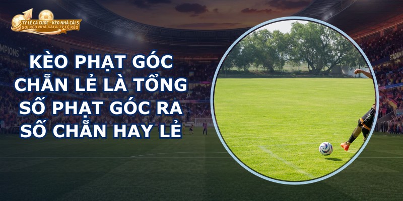 Kèo Phạt Góc Chẵn Lẻ