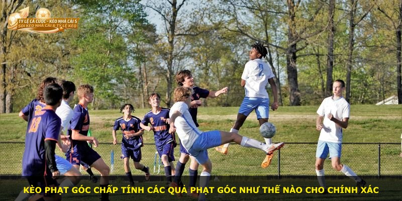 Kèo phạt góc chấp tính các quả phạt góc như thế nào cho chính xác