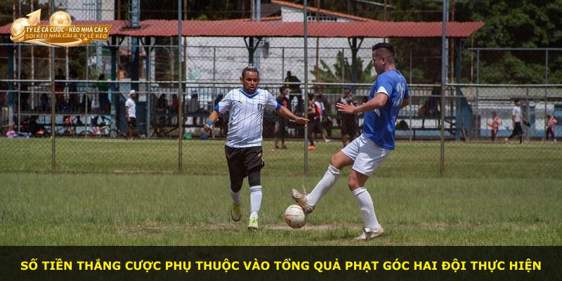 Số tiền thắng cược phụ thuộc vào tổng quả phạt góc hai đội thực hiện