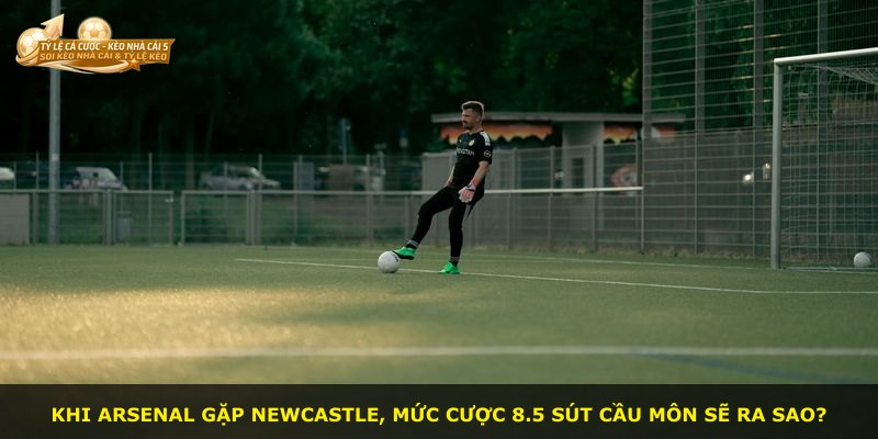 Khi Arsenal gặp Newcastle, mức cược 8.5 sút cầu môn sẽ ra sao?
