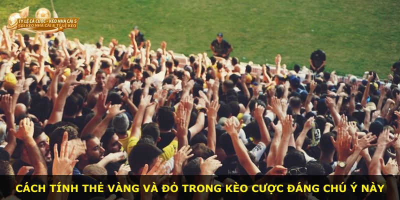Cách tính thẻ vàng và đỏ trong kèo cược đáng chú ý này