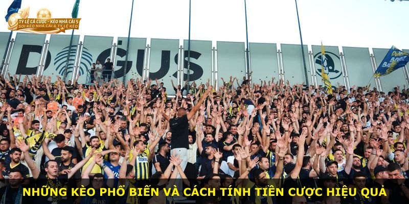 Những kèo phổ biến và cách tính tiền cược hiệu quả