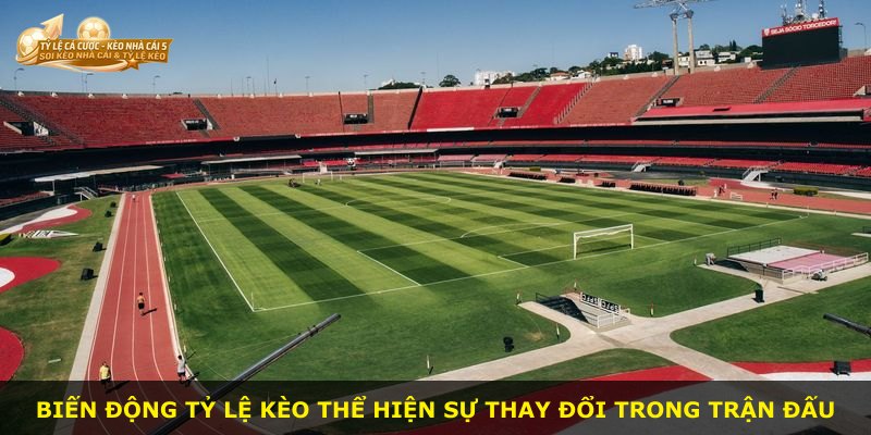 Biến động tỷ lệ kèo thể hiện sự thay đổi trong trận đấu