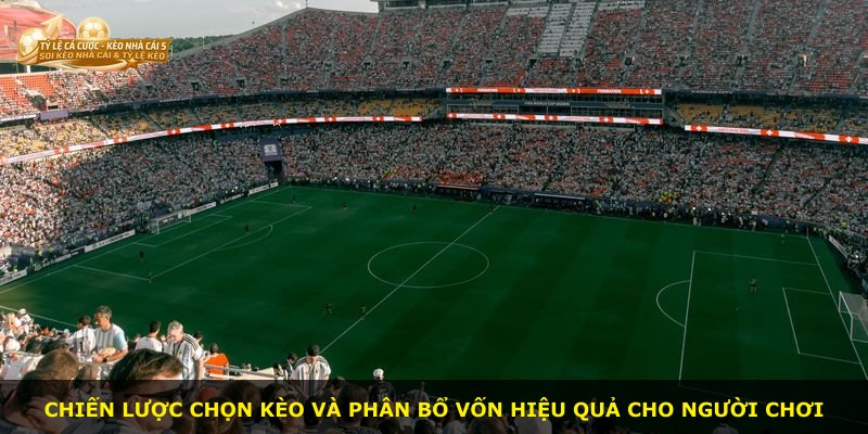 Chiến lược chọn kèo và phân bổ vốn hiệu quả cho người chơi