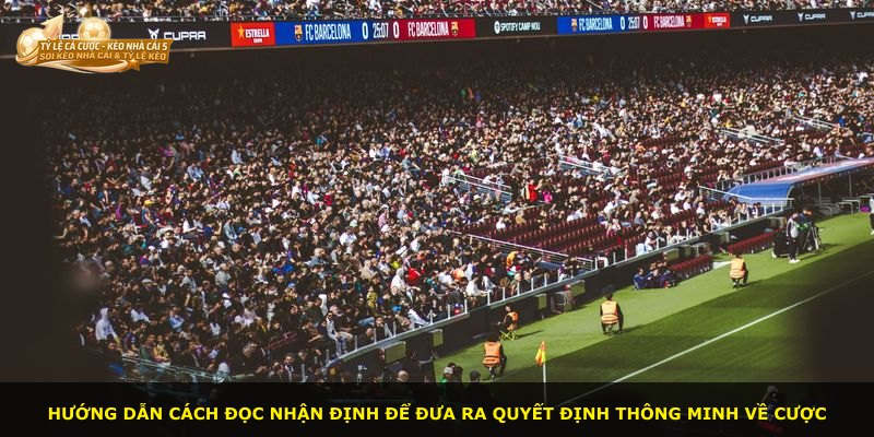 Hướng dẫn cách đọc nhận định để đưa ra quyết định thông minh về cược