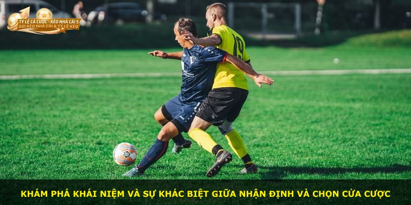 Khám phá khái niệm và sự khác biệt giữa nhận định và chọn cửa cược