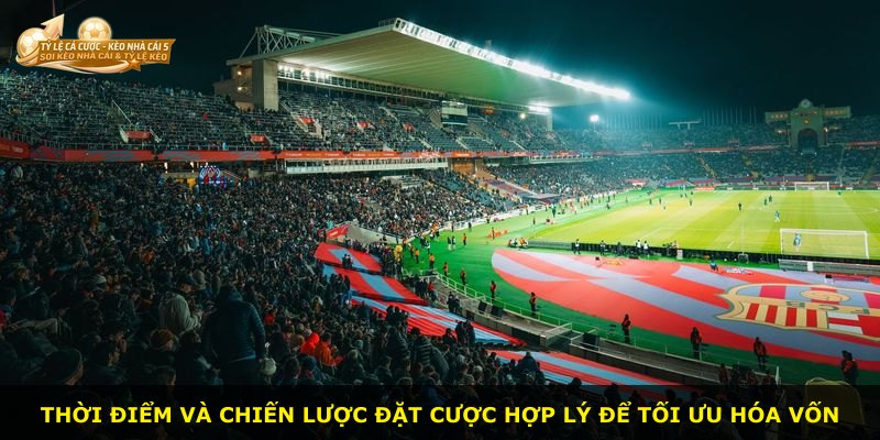 Thời điểm và chiến lược đặt cược hợp lý để tối ưu hóa vốn