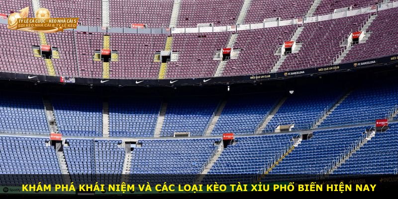Khám phá khái niệm và các loại kèo Tài Xỉu phổ biến hiện nay