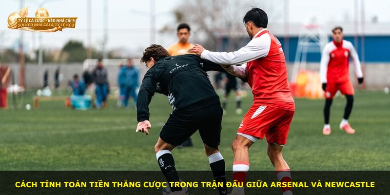 Cách tính toán tiền thắng cược trong trận đấu giữa Arsenal và Newcastle