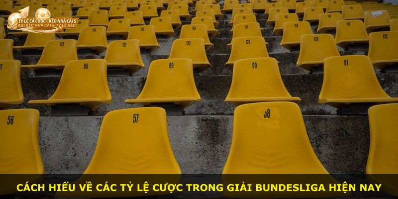 Cách hiểu về các tỷ lệ cược trong giải Bundesliga hiện nay