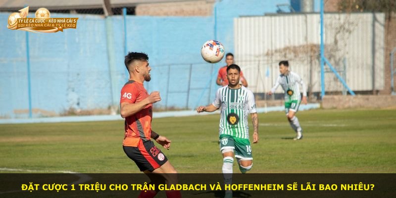 Đặt cược 1 triệu cho trận Gladbach và Hoffenheim sẽ lãi bao nhiêu?