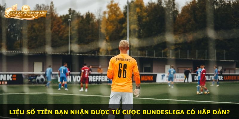 Liệu số tiền bạn nhận được từ cược Bundesliga có hấp dẫn?