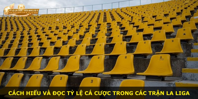 Cách hiểu và đọc tỷ lệ cá cược trong các trận La Liga