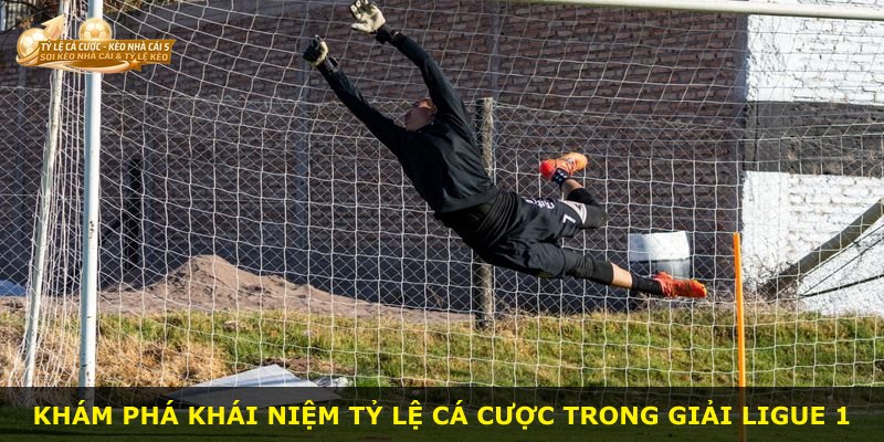 Khám phá khái niệm tỷ lệ cá cược trong giải Ligue 1