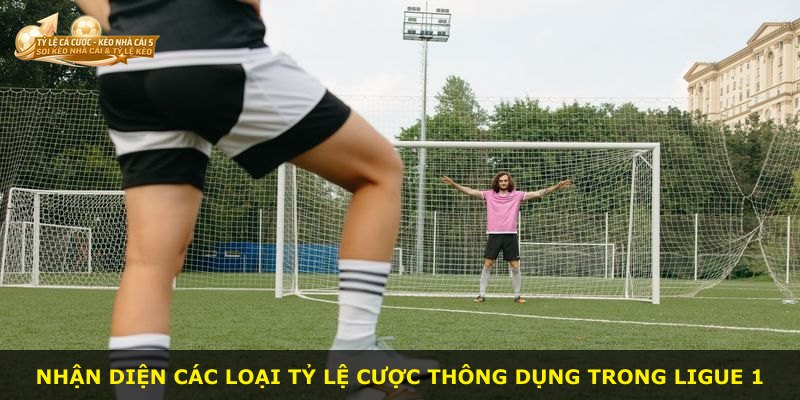 Nhận diện các loại tỷ lệ cược thông dụng trong Ligue 1