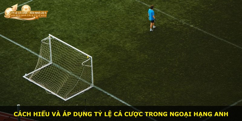 Cách hiểu và áp dụng tỷ lệ cá cược trong Ngoại Hạng Anh