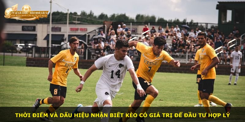 Thời điểm và dấu hiệu nhận biết kèo có giá trị để đầu tư hợp lý