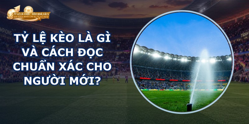 Tỷ Lệ Kèo