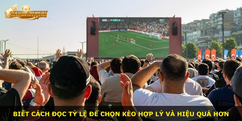 Biết cách đọc tỷ lệ để chọn kèo hợp lý và hiệu quả hơn