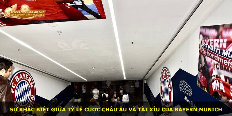 Sự khác biệt giữa tỷ lệ cược châu Âu và tài xỉu của Bayern Munich