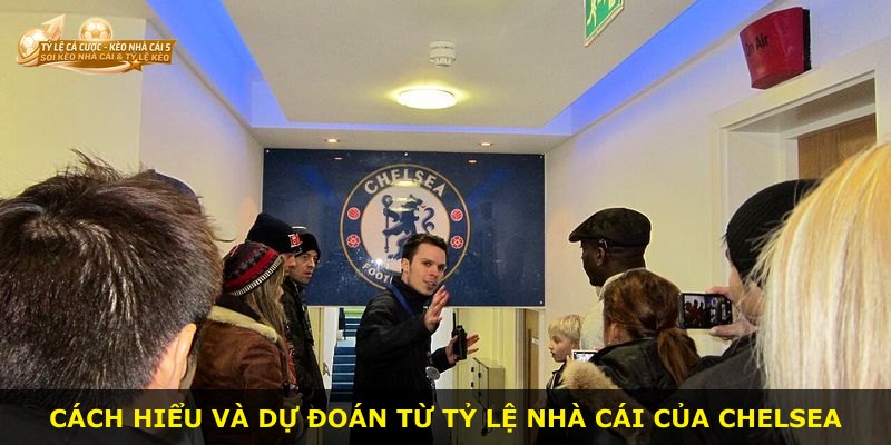 Cách hiểu và dự đoán từ tỷ lệ nhà cái của Chelsea