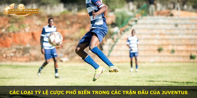 Các loại tỷ lệ cược phổ biến trong các trận đấu của Juventus