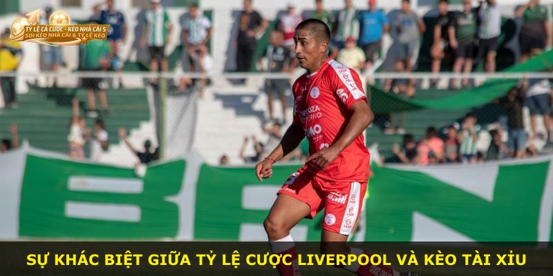 Sự khác biệt giữa tỷ lệ cược Liverpool và kèo tài xỉu
