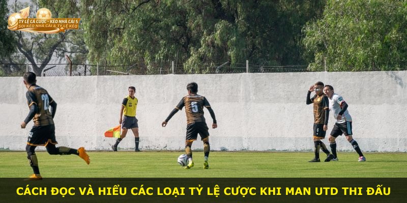 Cách đọc và hiểu các loại tỷ lệ cược khi Man Utd thi đấu