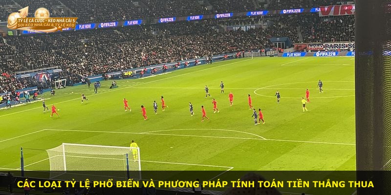 Các loại tỷ lệ phổ biến và phương pháp tính toán tiền thắng thua