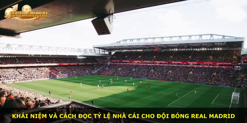 Khái niệm và cách đọc tỷ lệ nhà cái cho đội bóng Real Madrid
