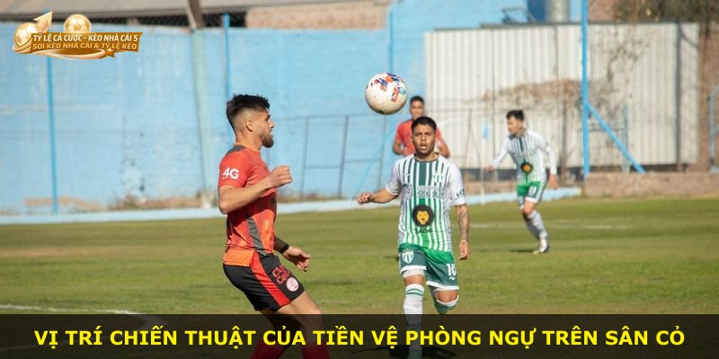 Vị trí chiến thuật của tiền vệ phòng ngự trên sân cỏ